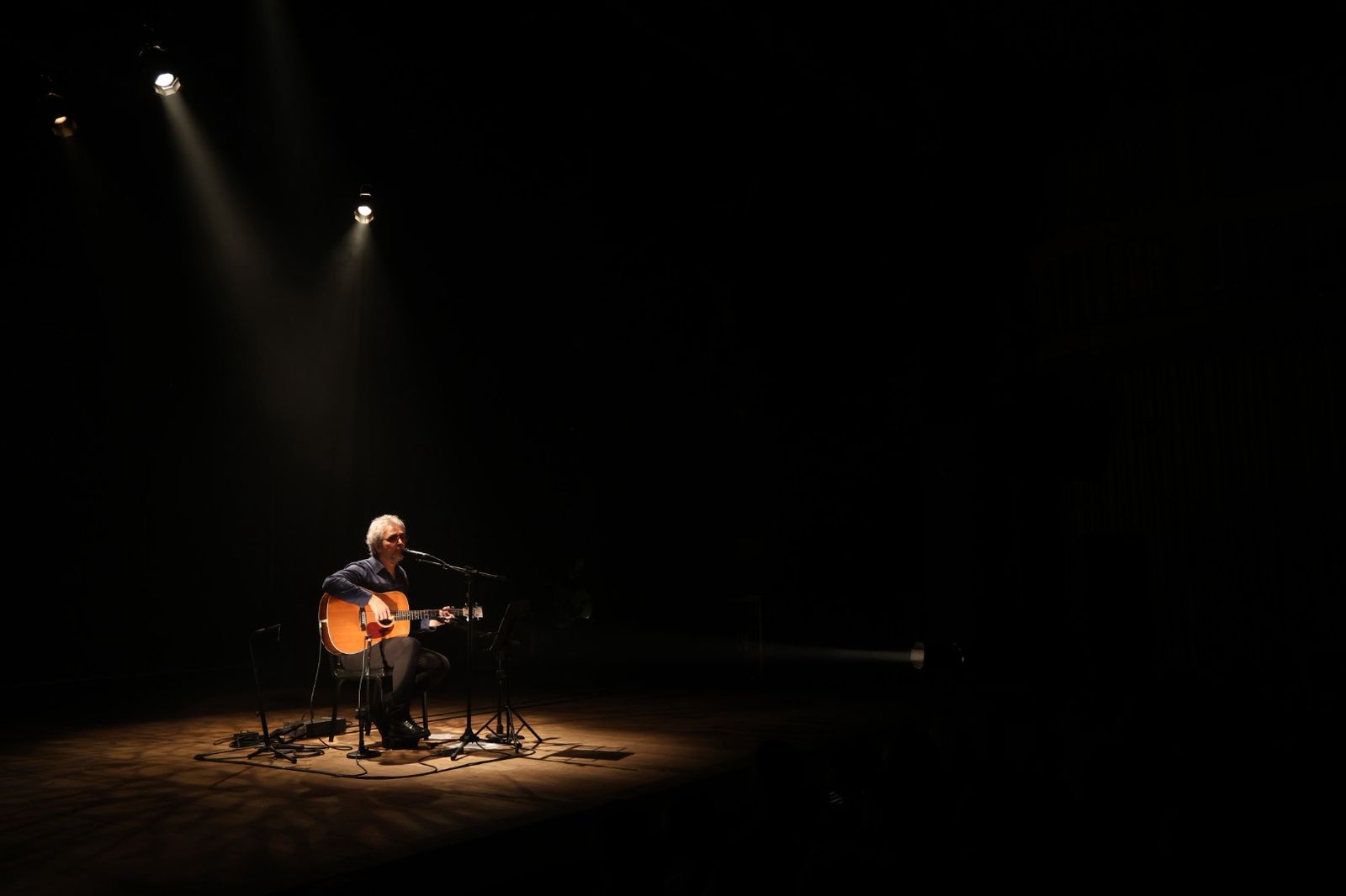 Vitor Ramil